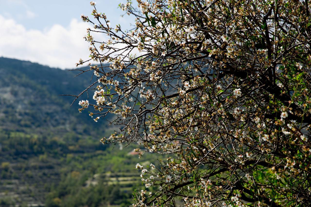 The Old Olive Mill House By Trulycyprus Villa Dhoros Buitenkant foto