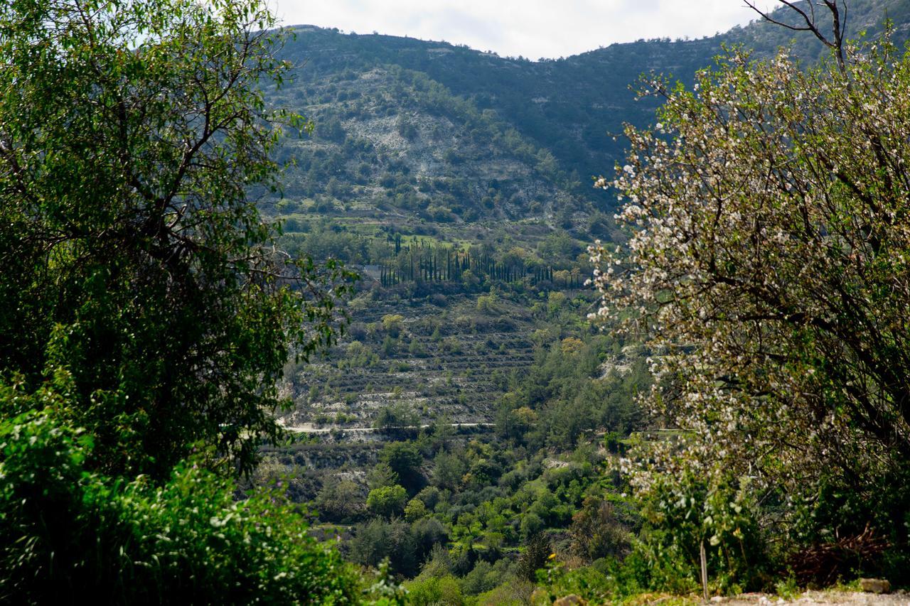 The Old Olive Mill House By Trulycyprus Villa Dhoros Buitenkant foto